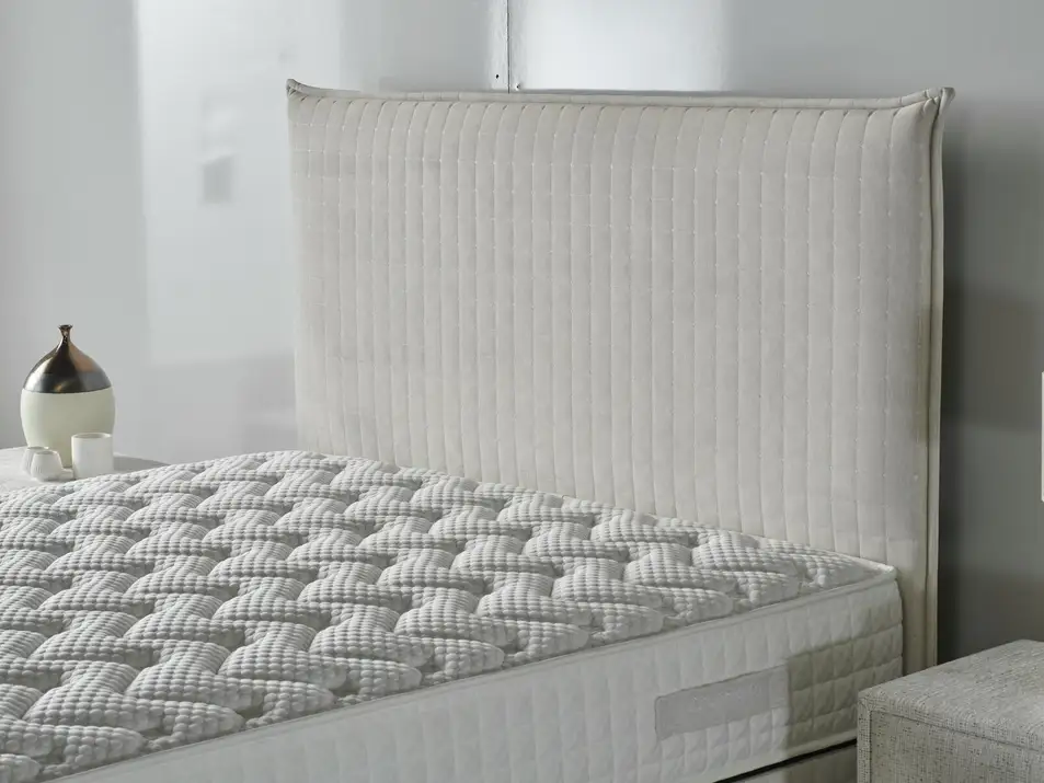 Comfort Başlık