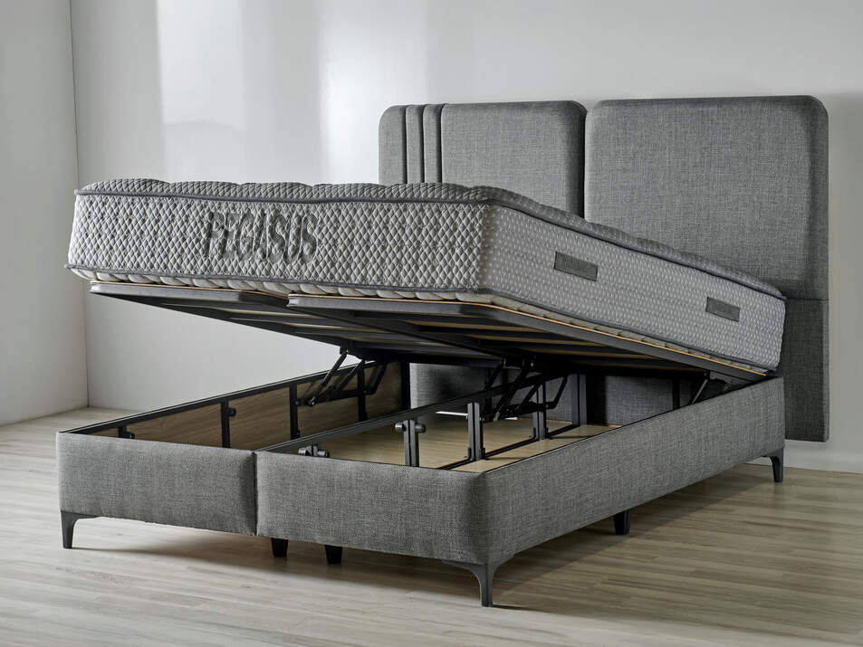 Pegasus Baza Pegasus Baza