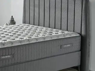 Viscotton Başlık